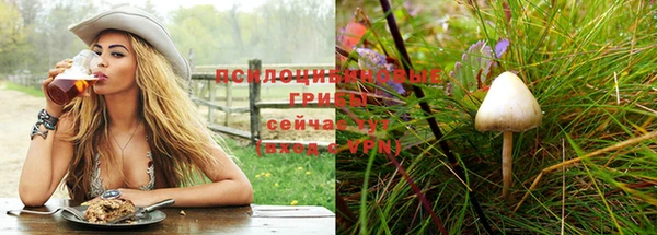 стафф Алзамай